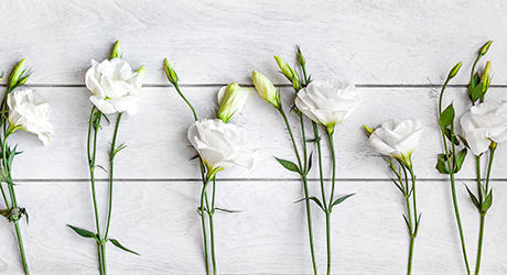 Lisianthus Flowercards & Gifts