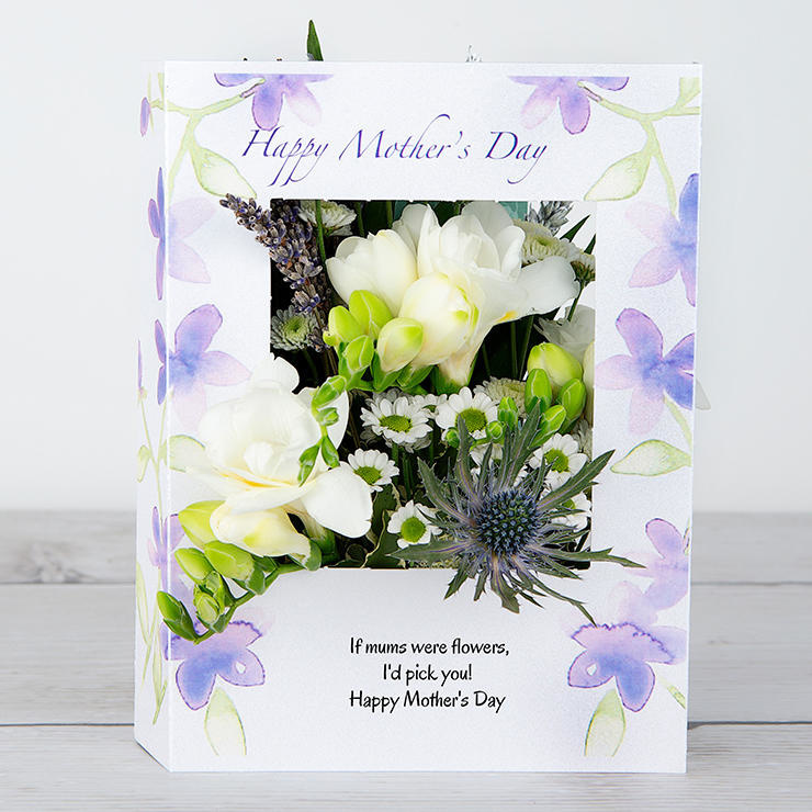 White Freesias with Lavender, Santini and Chrysanthemum Mother%27s Day Flowers
